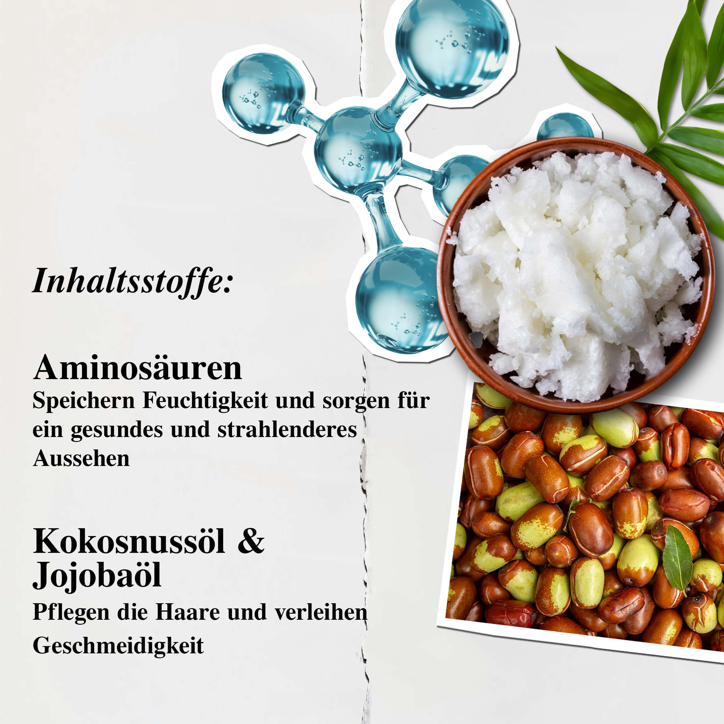 Kiehl's Amino Acid Conditioner Inhaltsstoff-Illustration – Aminosauren, Kokosol, Jojobaol