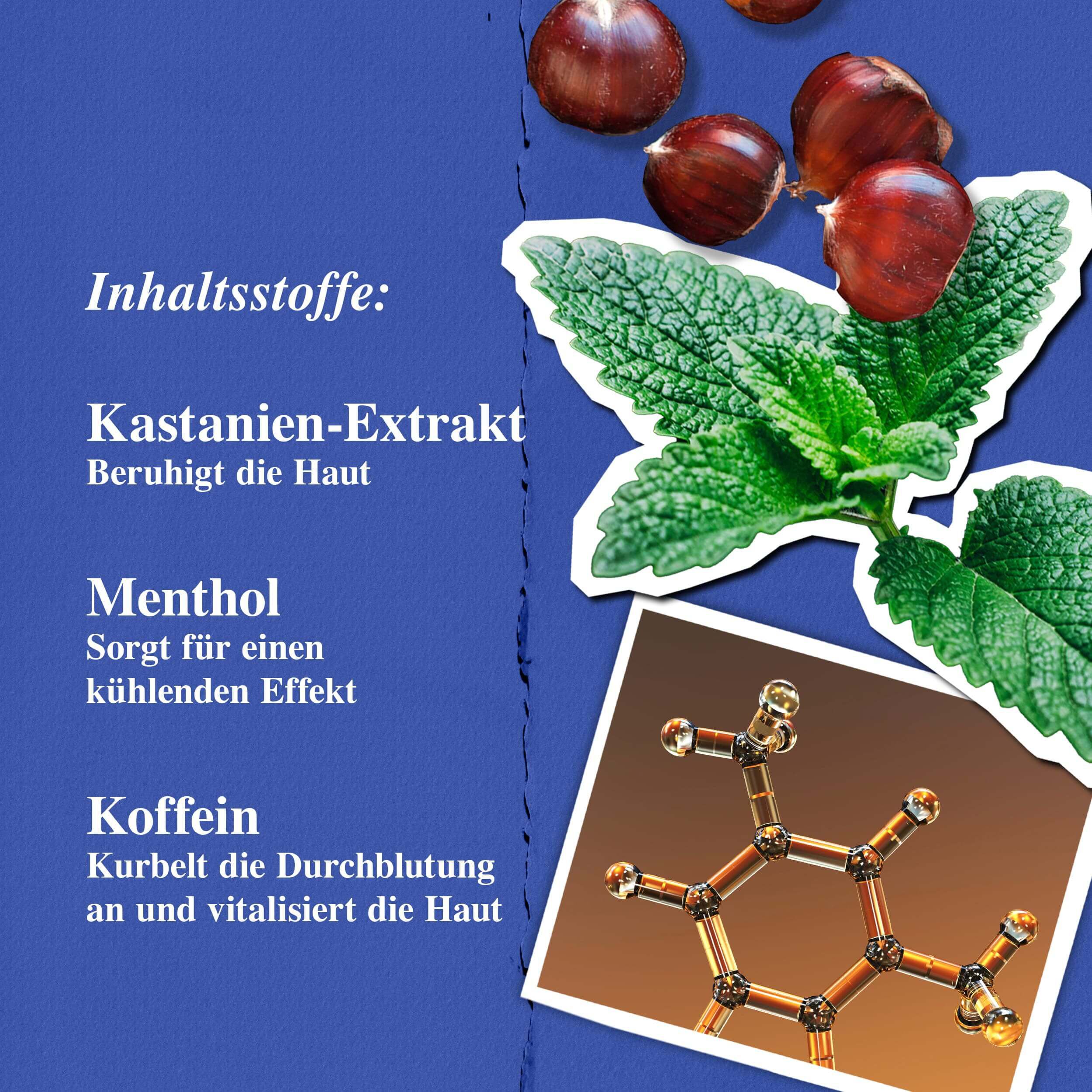 Inhaltsstoffe des Kiehl's Facial Fuel Energizing Face Wash – Kastanienextrakt, Koffein, Menthol