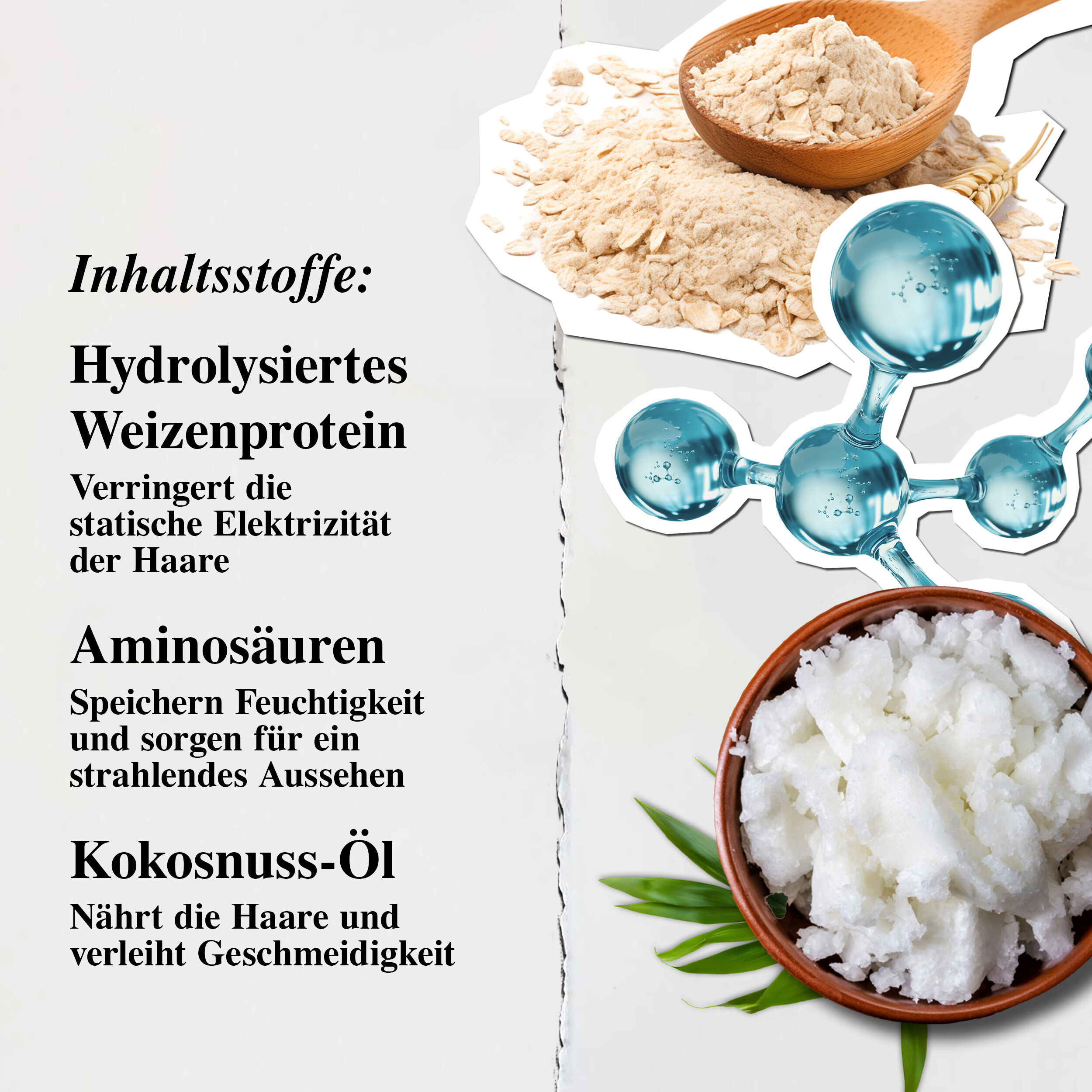 Inhaltsstoffe des Kiehl's Amino Acid Shampoo – Hydrolysiertes Weizenprotein, Aminosauren, Kokosnussol aus fairem Handel