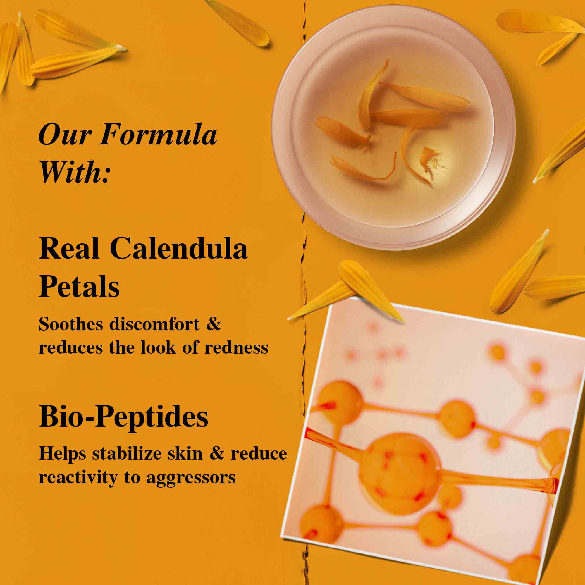 Ringelblumenblutenblatter.