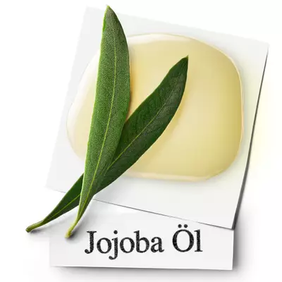 JOJOBA-OL Kiehl's Inhaltsstoffe