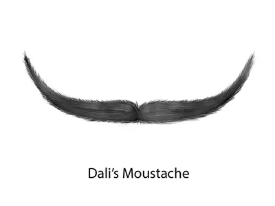 Skizze von Dali‘s Moustache