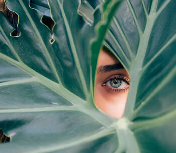 Auge hinter einem grunen Blatt