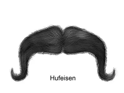 Hufeisenbart