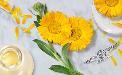 Calendula Blumen mit einem Kiehl's Badge