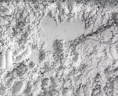 MIKRONISIERTE MUSCHELN Kiehl's Inhaltsstoffe