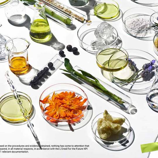 Eine farbenfrohe Auswahl pflanzlicher Inhaltsstoffe, Ole und Pulver in Glasbehaltern, die die Schonheit und Nachhaltigkeit der Natur prasentieren
