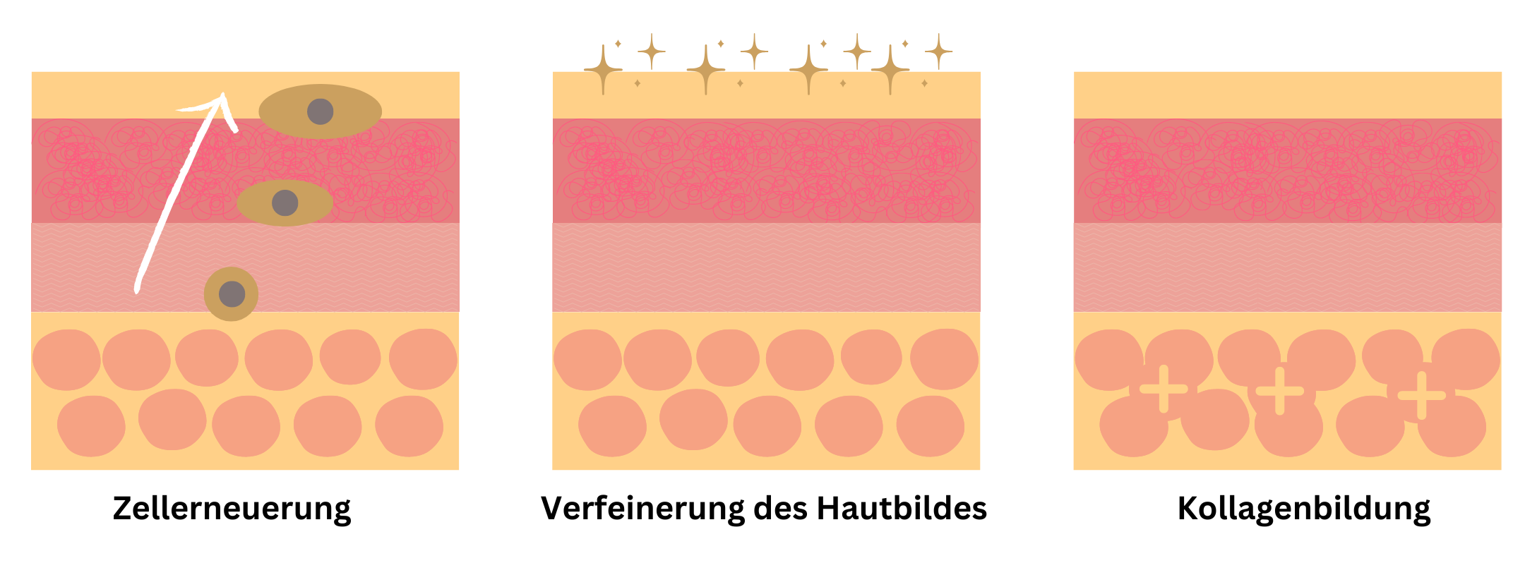 Retinol Wirkung auf Haut