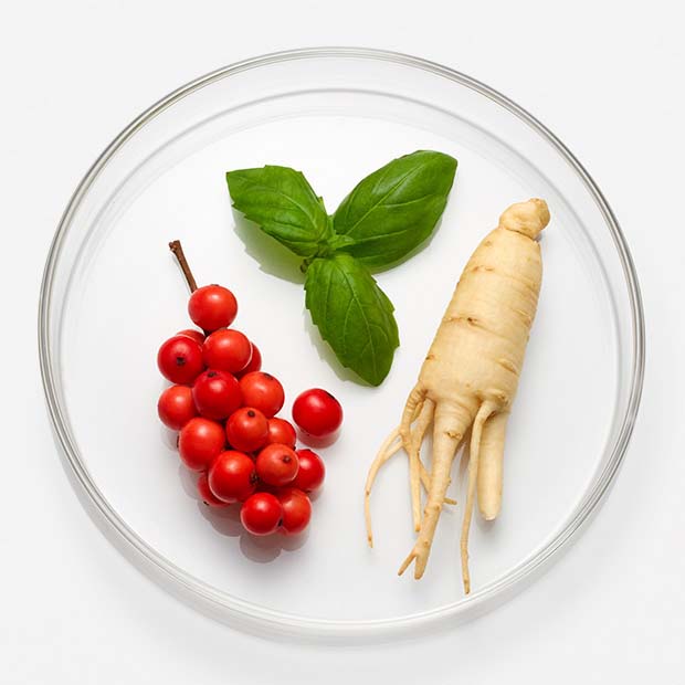 Ingrédients Vital Skin-Strengthening Super Serum