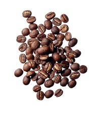 Koffein