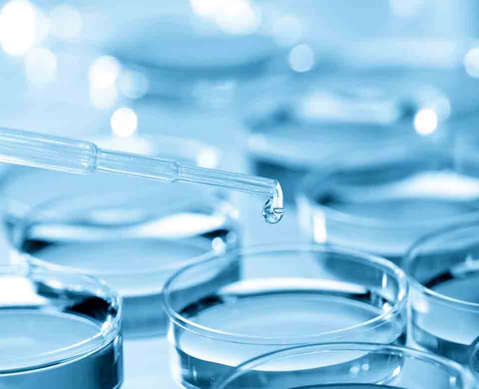 Bild von einer Petrischale mit Retinol
