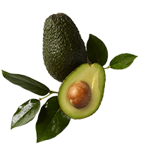 Avocadoöl