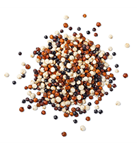 Quinoa